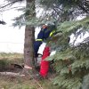 christbaumaufstellen 2017 07